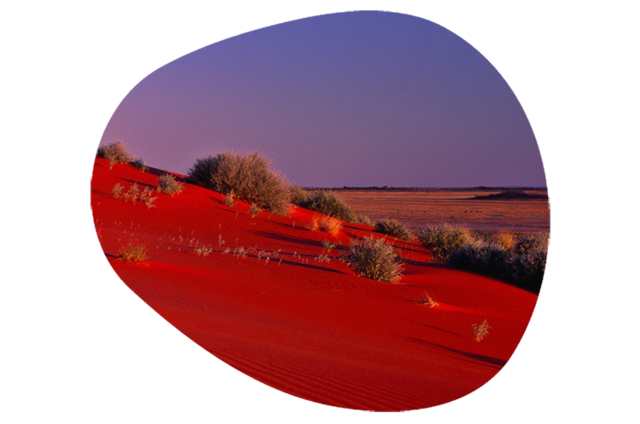 Meoxal® Victoria Red