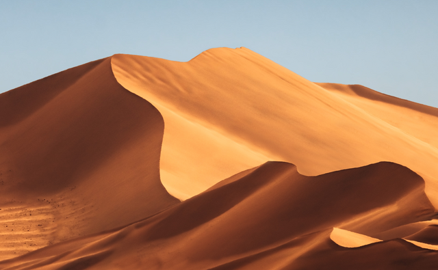Meoxal® Wahiba Orange
